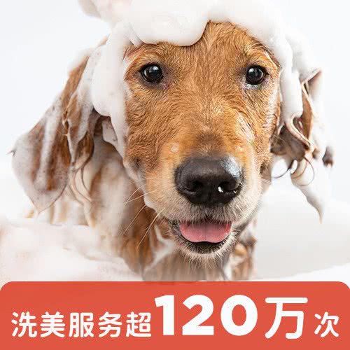 狗狗家(华业东方玫瑰店)