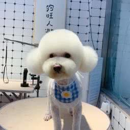 咪多乐宠物生活馆