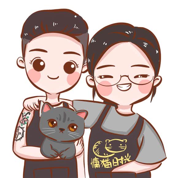 慵猫时光