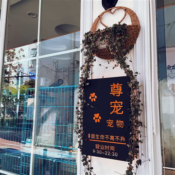 尊宠宠物店