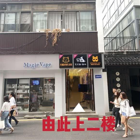花又猫·猫咖·猫舍·猫咪专售(观前店)