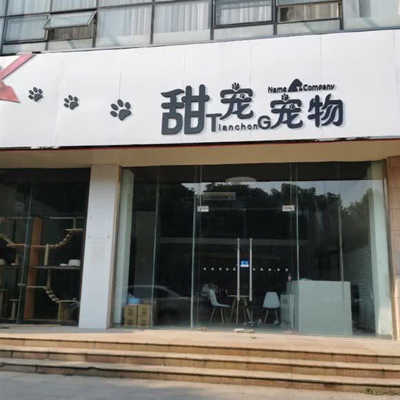 甜宠宠物