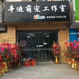 辛迪萌宠物工作室