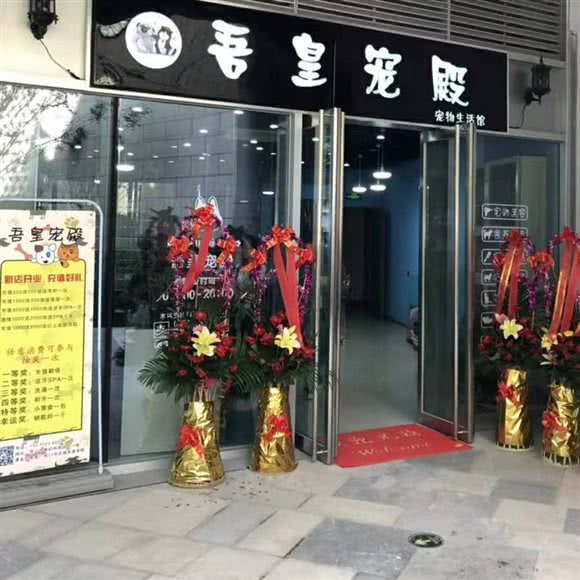吾皇宠殿
