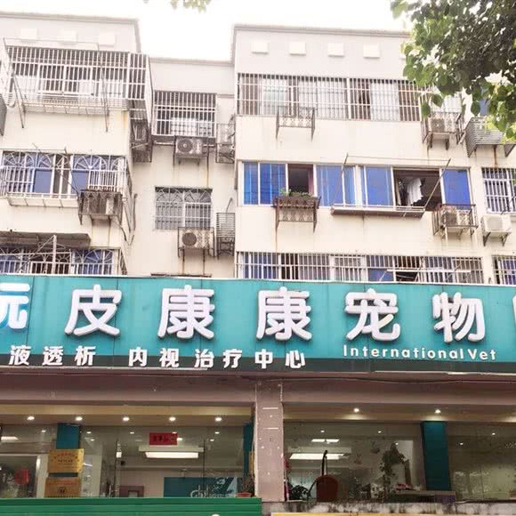 顽皮康康宠物医院(南苑新村店)