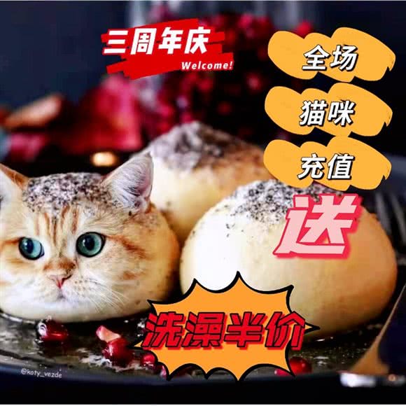 炎鑫宠物连锁(太仓宝龙店)
