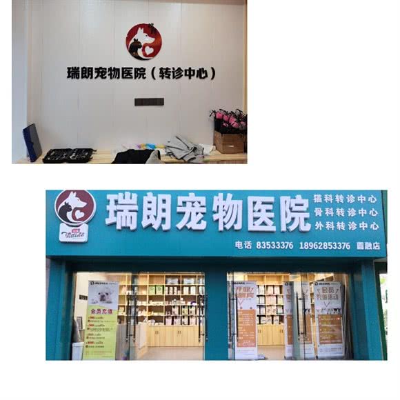 瑞朗宠物医院(猫科中心)(瑞朗宠物连锁机构工农路店)