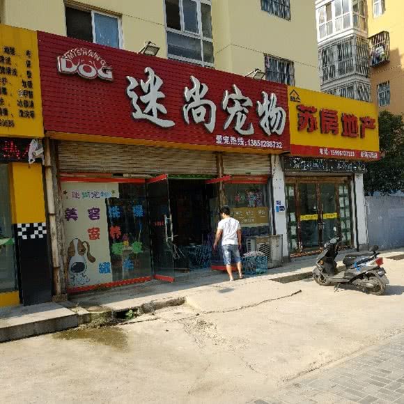 迷尚宠物