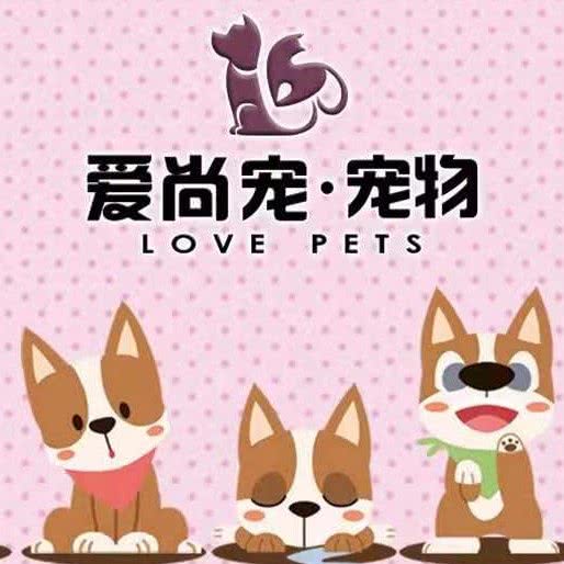 爱尚宠宠物