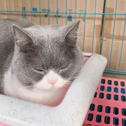 万千宠物生活馆