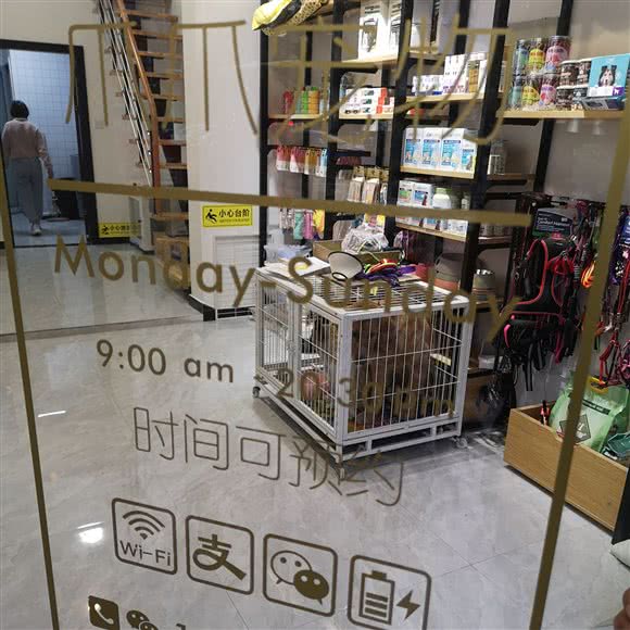 肉垫爪爪宠物店