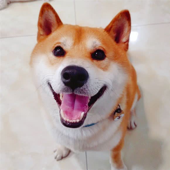 圣宠咖啡店