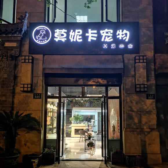 莫妮卡宠物