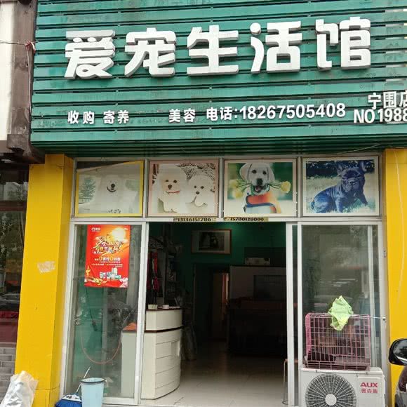 爱宠生活馆专卖店