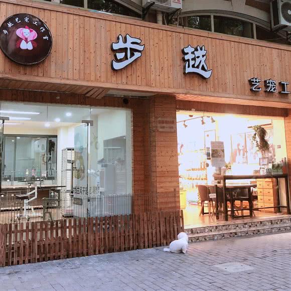 步越艺宠工作室