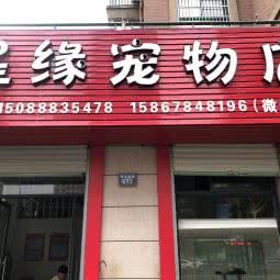 星缘宠物店