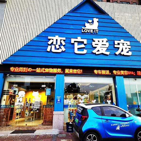 恋它爱宠
