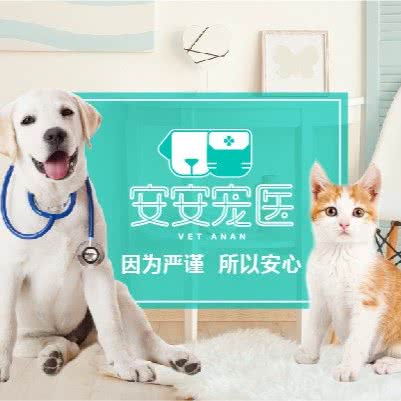 安安宠医奢爱美容师培训学校