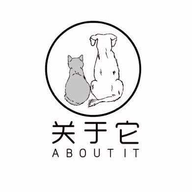 关于它