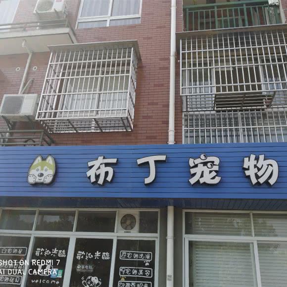 布丁宠物