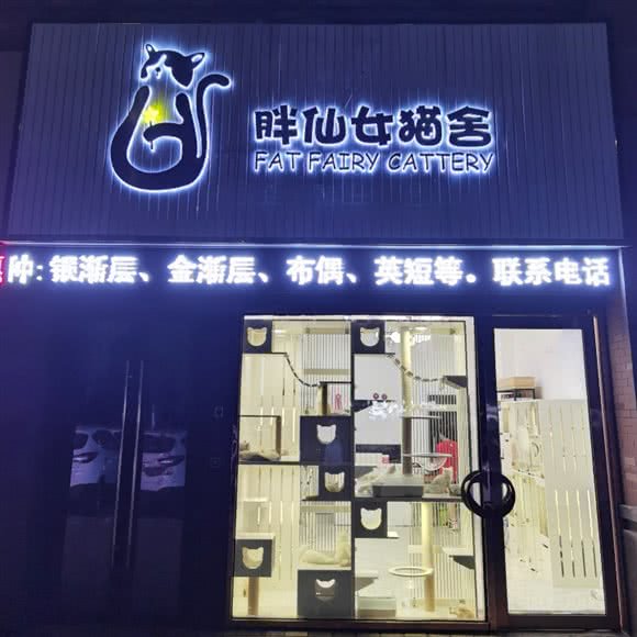胖仙女猫舍