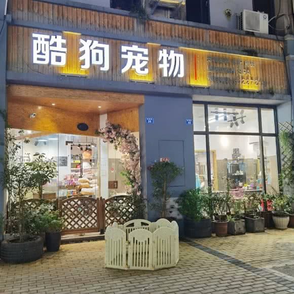 酷狗宠物专属