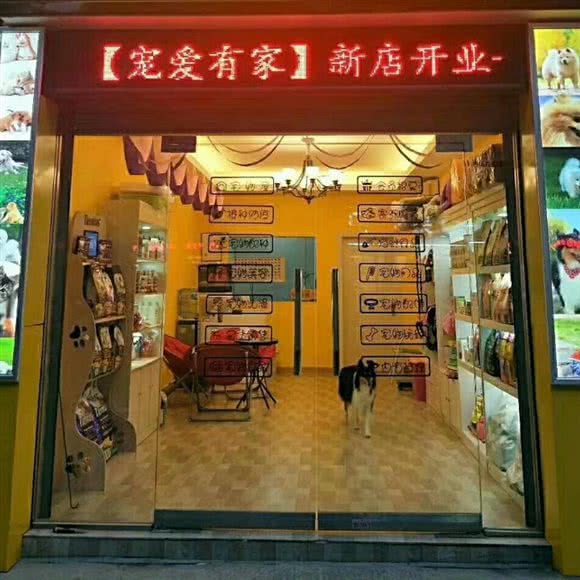 宠爱有家(东莱路店)