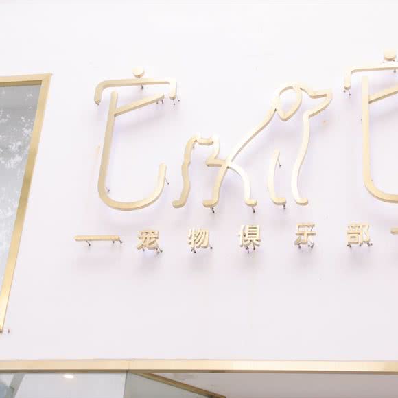 它它宠物俱乐部