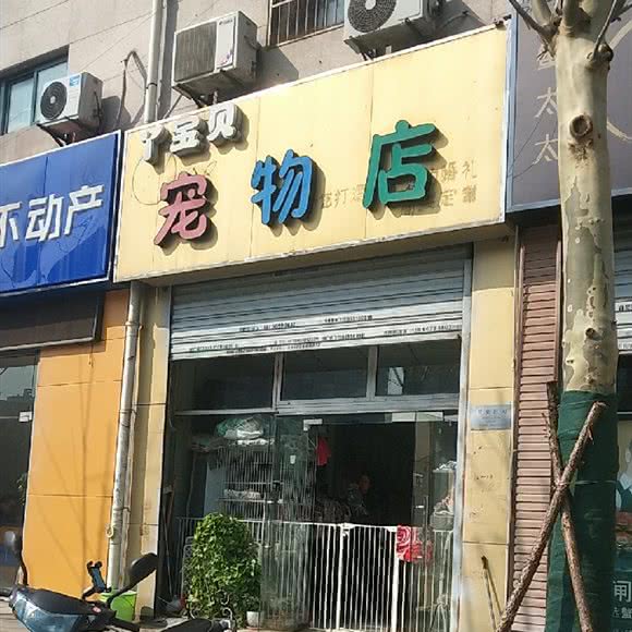 丫宝贝宠物店