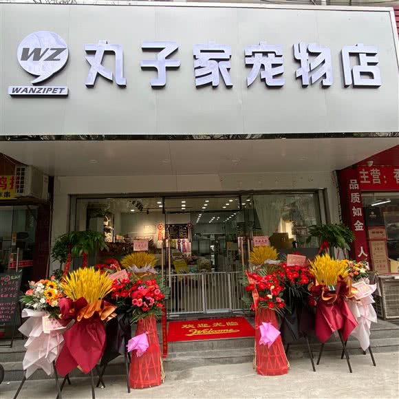 丸子家宠物屋