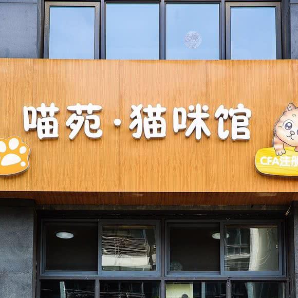 喵苑·猫咪馆(皖河路店)