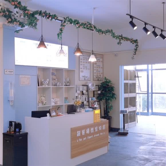 飙爸猫妈宠物店