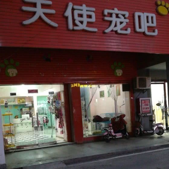 天使宠吧