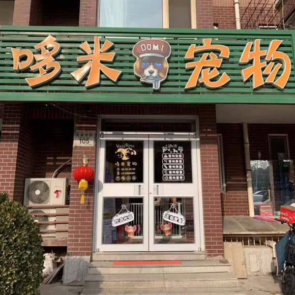 哆米宠物狗