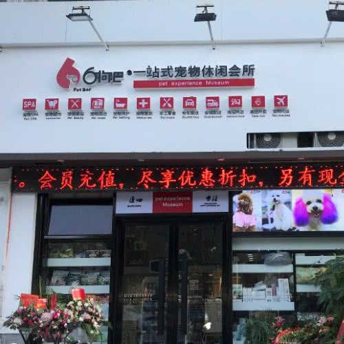 6狗吧宠物休闲会所