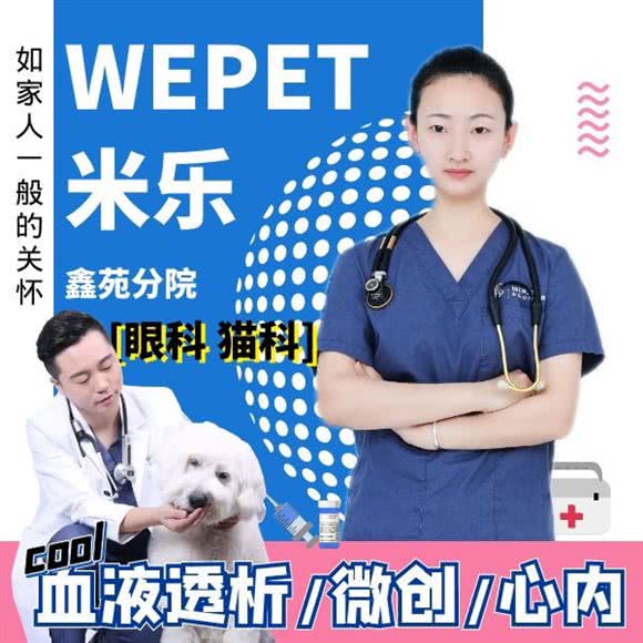 WEPET米乐动物医院(鑫苑分院)