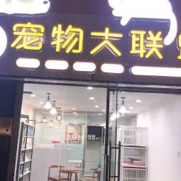 宠物大联盟
