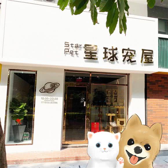 星球宠屋