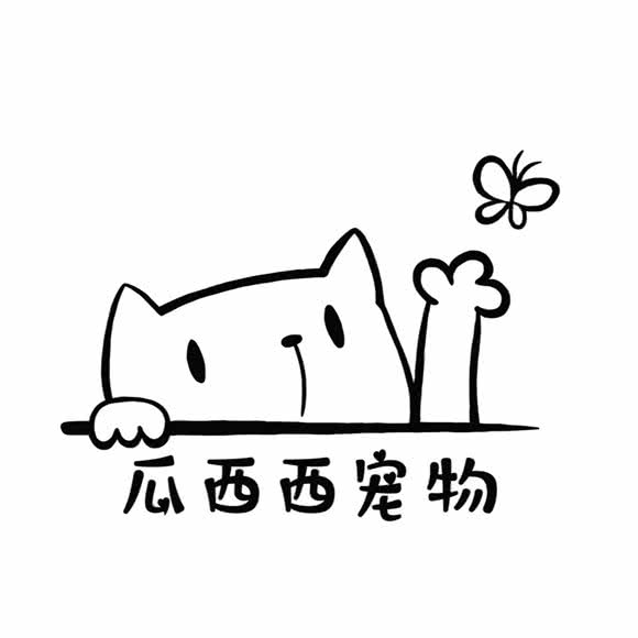 瓜西西宠物美容