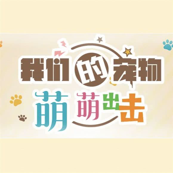 我们的宠物