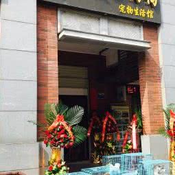 老友的狗狗