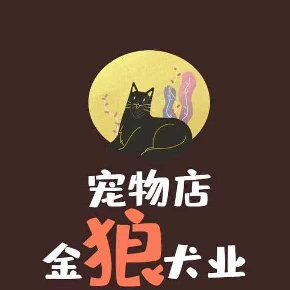 金狼犬业宠物训练寄养