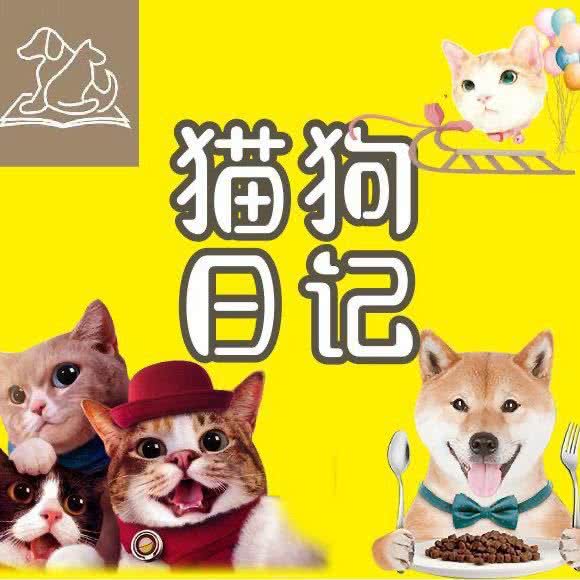 猫狗日记