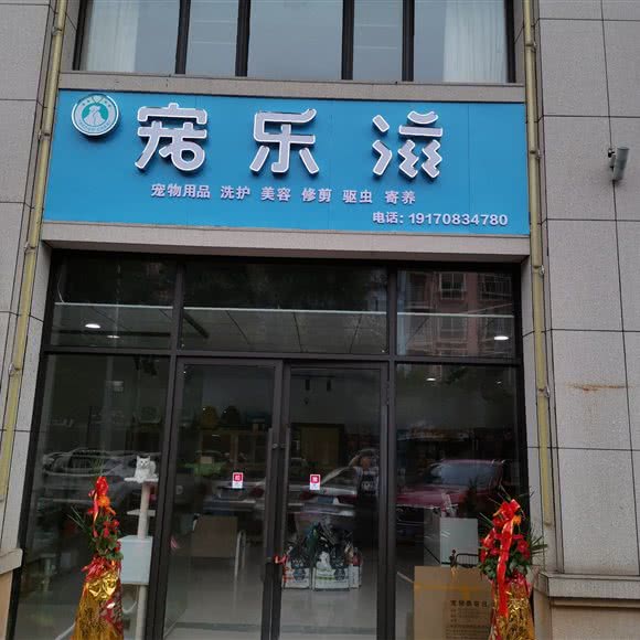 宠乐滋