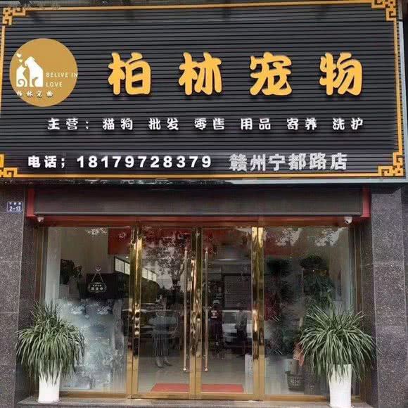 柏林宠物
