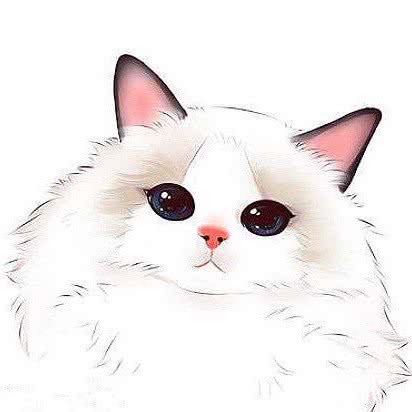 喵元素猫咖(万达店)