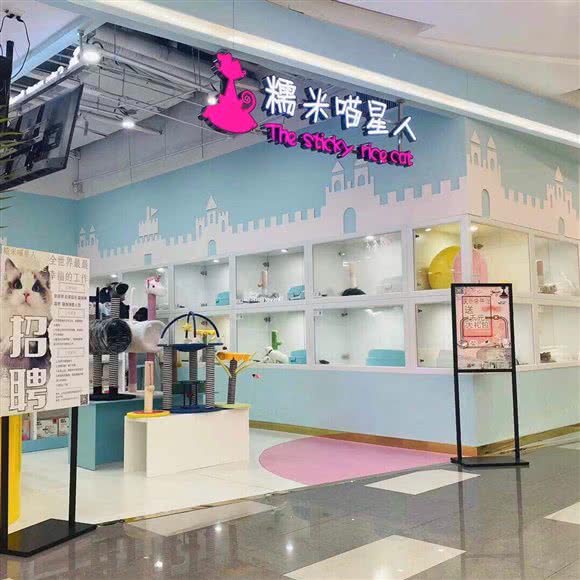 糯米喵星人生活馆·猫舍(世茂广场店)