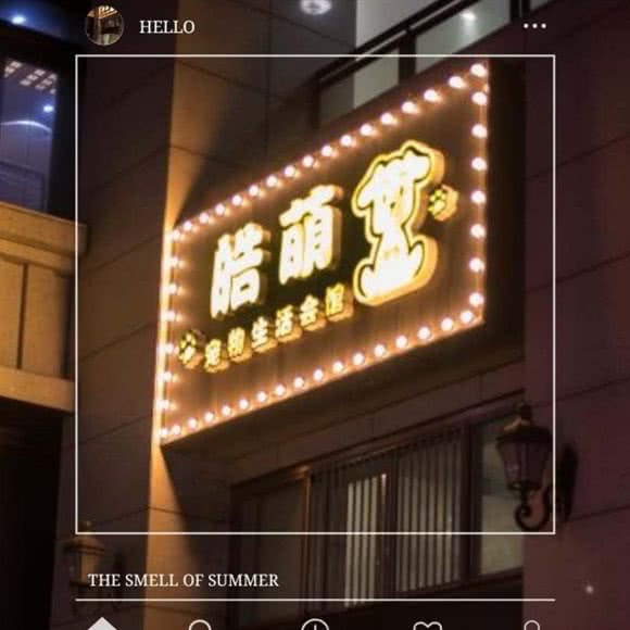 皓萌宠物生活会馆