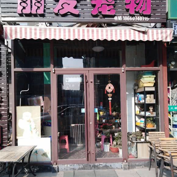 朋友宠物(翡翠清河店)