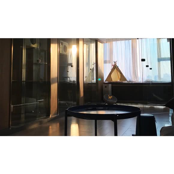 Moly 猫旅猫咪酒店